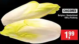 Handelshof Chicorée Angebot