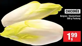 Handelshof Chicorée Angebot