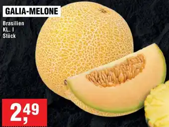 Handelshof Galia-melone Angebot