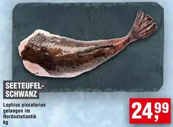 Handelshof Seeteufelschwanz Angebot