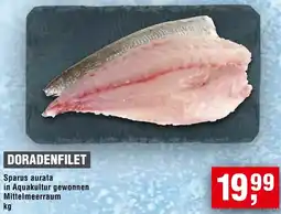Handelshof Doradenfilet Angebot