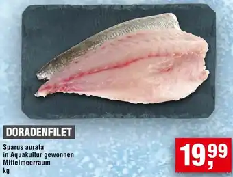 Handelshof Doradenfilet Angebot