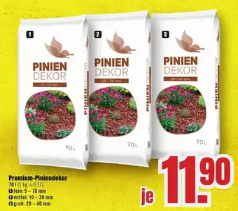 B1 Discount Baumarkt Premium-Piniendekor Angebot