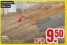 B1 Discount Baumarkt Laminat Holz-Dekore Angebot