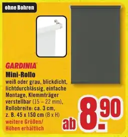 B1 Discount Baumarkt GARDINIA Mini-Rollo Angebot