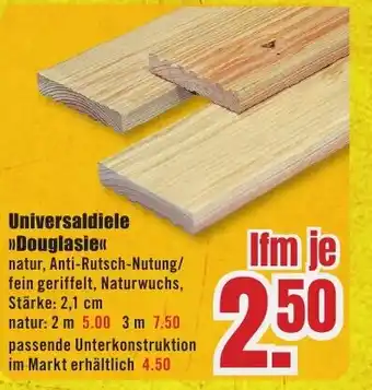 B1 Discount Baumarkt Universaldiele "Douglasie" Angebot