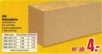 B1 Discount Baumarkt OSB Ausbauplatte Angebot