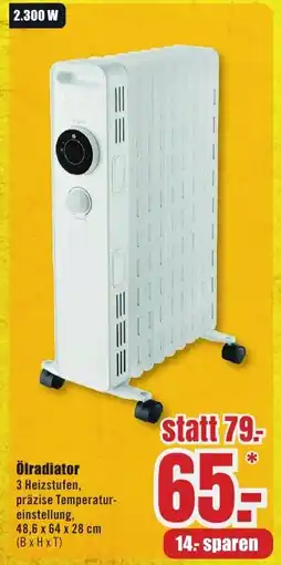 B1 Discount Baumarkt Ölradiator Angebot