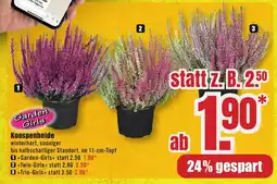 B1 Discount Baumarkt Knospenheide Angebot
