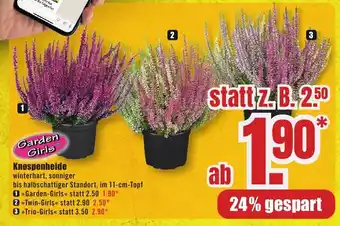 B1 Discount Baumarkt Knospenheide Angebot
