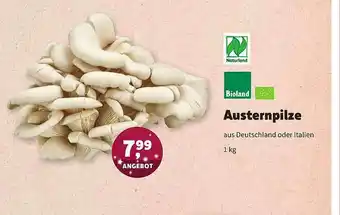 Aleco Biomarkt Austernpilze Bioland Angebot