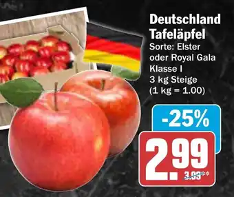 AEZ Deutschland Tafeläpfel Angebot