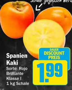 AEZ Spanien Kaki Angebot
