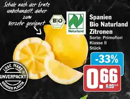 AEZ Spanien Bio Naturland Zitronen Angebot