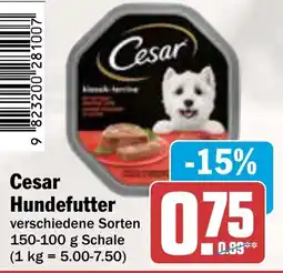 AEZ Cesar Hundefutter Angebot