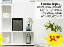 Möbel Boss Raumteiler Bergamo 1 Angebot