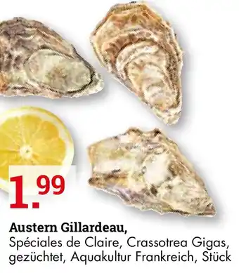 Handelshof Austern Gillardeau Angebot