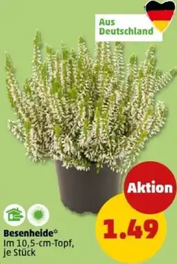 PENNY Besenheide Angebot