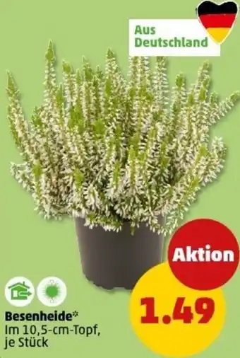 PENNY Besenheide Angebot