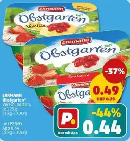PENNY EHRMANN Obstgarten Angebot