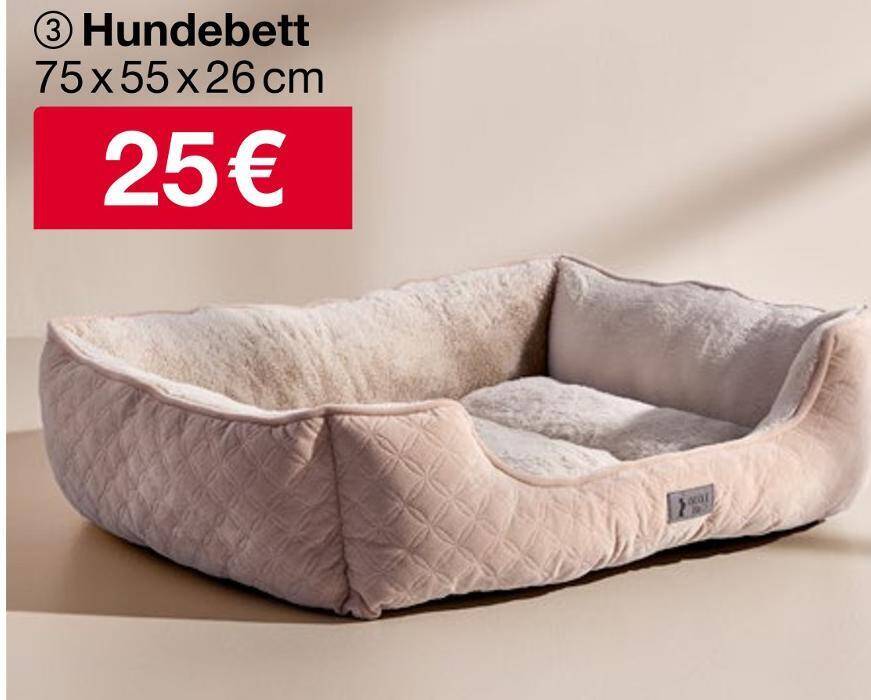 Hundebett Angebot bei Woolworth