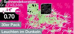 Woolworth Spinnendekoration Angebot
