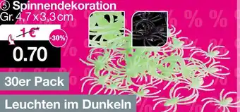 Woolworth Spinnendekoration Angebot