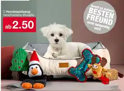 Woolworth Hundespielzeug Angebot