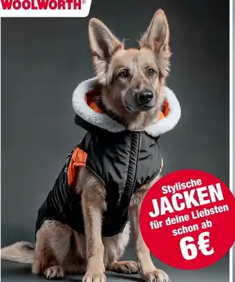 Woolworth Jacken Angebot