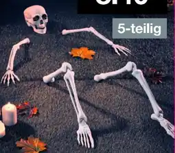 Woolworth Halloween Deko-Skelett Angebot