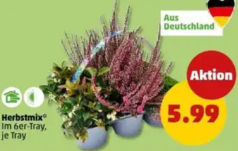 PENNY Herbstmix Angebot
