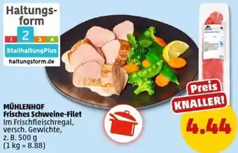 PENNY MÜHLENHOF Frisches Schweine-Filet Angebot