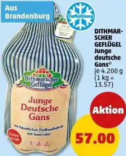 PENNY DITHMARSCHER GEFLÜGEL Junge deutsche Gans Angebot