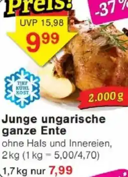 Jawoll Junge ungarische ganze Ente Angebot