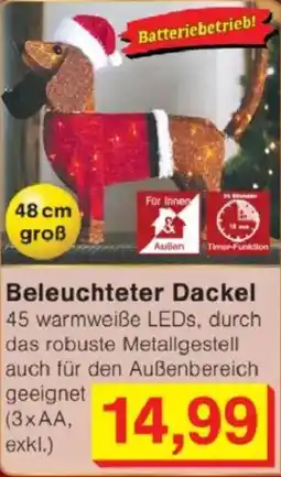 Jawoll Beleuchteter Dackel Angebot