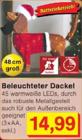 Jawoll Beleuchteter Dackel Angebot