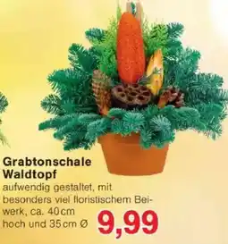 Jawoll Grabtonschale Waldtopf Angebot