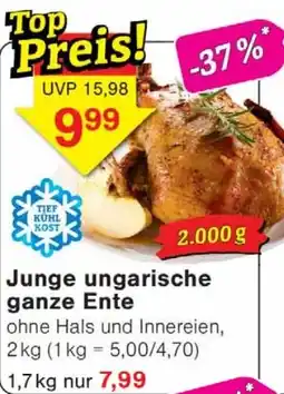 Wiglo Wunderland Junge ungarische ganze Ente Angebot