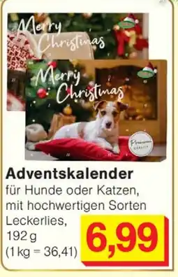 Wiglo Wunderland Adventskalender Angebot