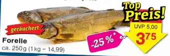 Wiglo Wunderland Forelle Angebot