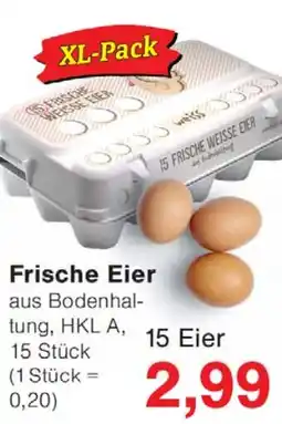 Wiglo Wunderland Frische Eier XL-Pack Angebot