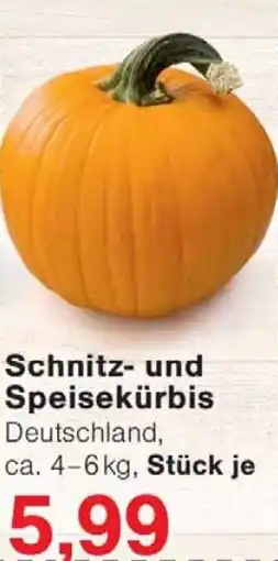 Wiglo Wunderland Schnitz- und Speisekürbis Angebot