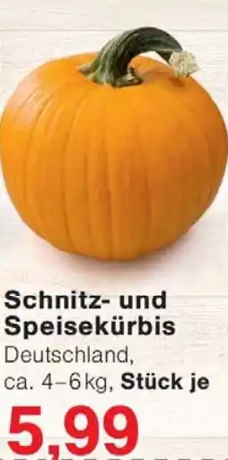 Wiglo Wunderland Schnitz- und Speisekürbis Angebot