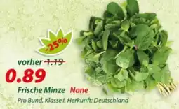 Hepsi-Markt Frische Minze Nane Angebot