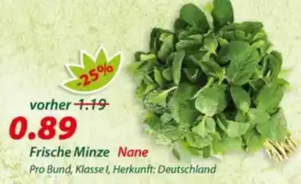 Hepsi-Markt Frische Minze Nane Angebot