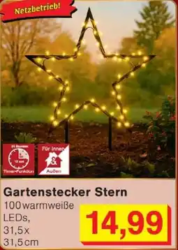 Wiglo Wunderland Gartenstecker Stern Angebot