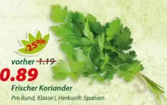 Hepsi-Markt Frischer Koriander Angebot