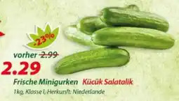 Hepsi-Markt Frische Minigurken Angebot