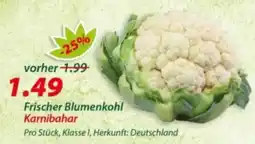 Hepsi-Markt Frischer Blumenkohl Karnibahar Angebot