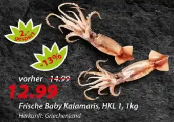Hepsi-Markt Frische Baby Kalamaris Angebot